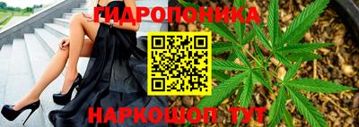 хмурый Апшеронск