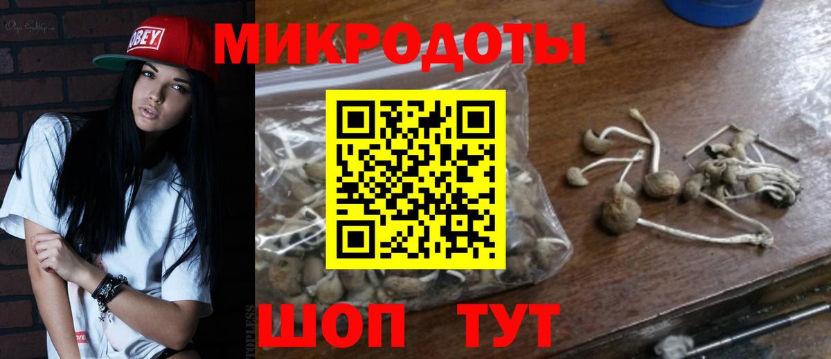 Галлюциногенные грибы MAGIC MUSHROOMS Великий Новгород